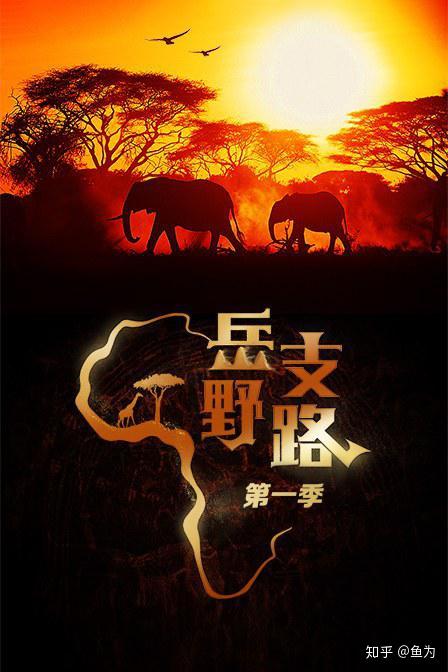 河南犀牛主场失利，挑战颇大的简单介绍